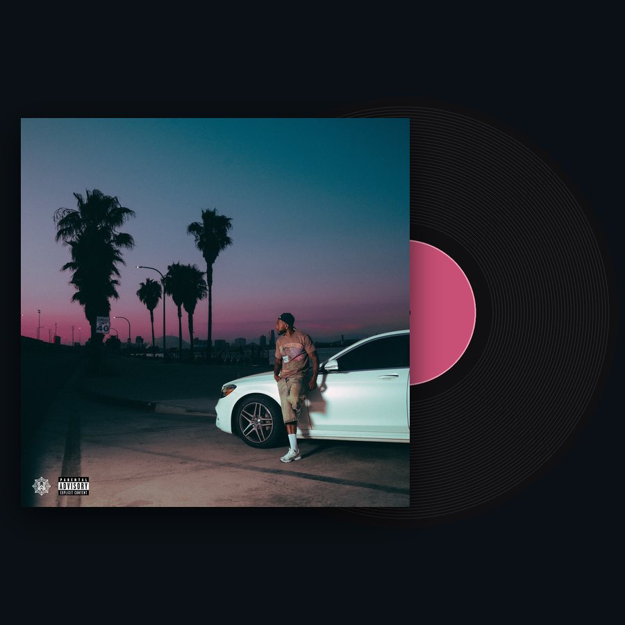 Caught In The Webb 2 — Vinyl LP